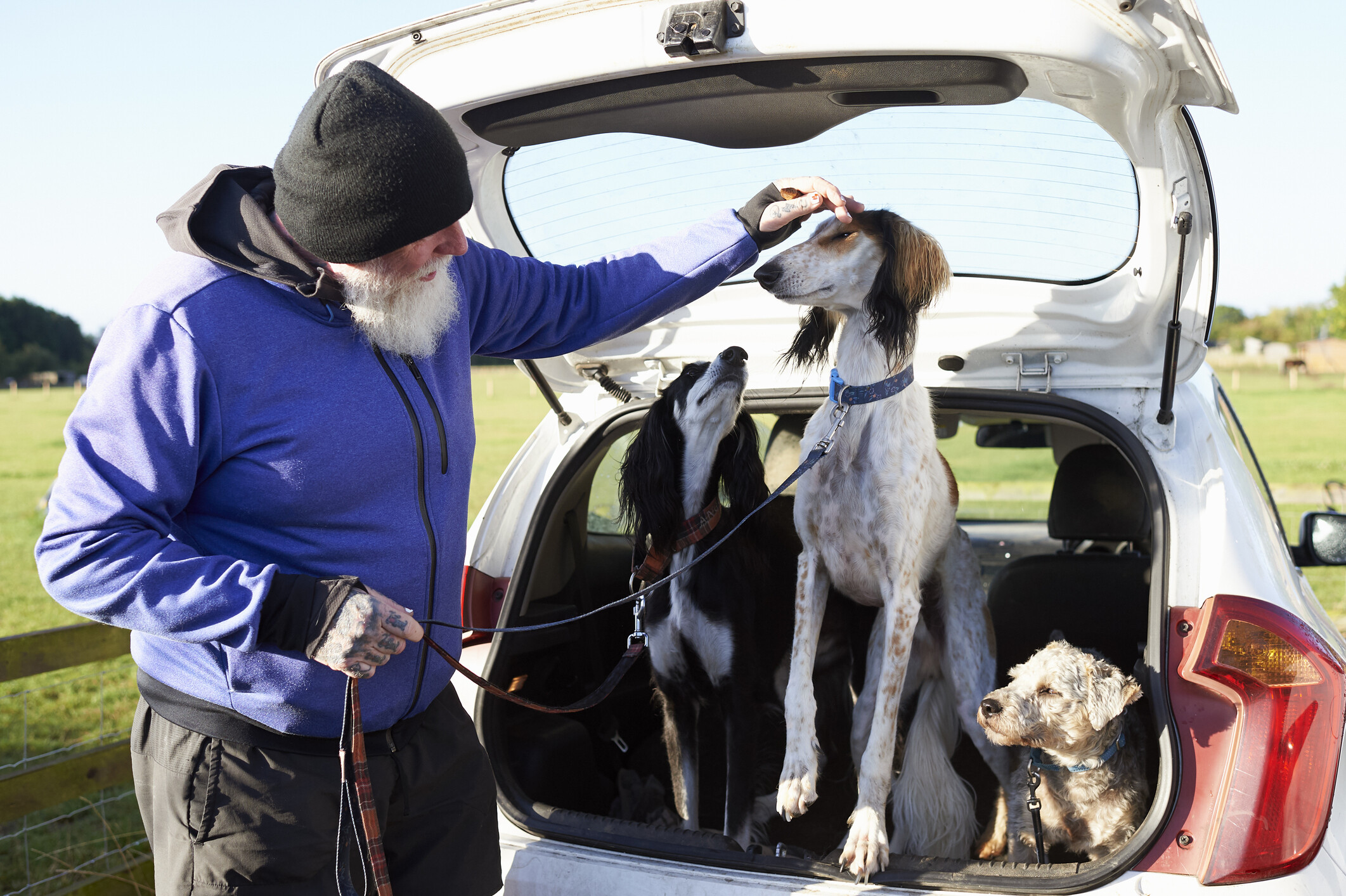 Ez a kutyafajta él a legrövidebb ideig