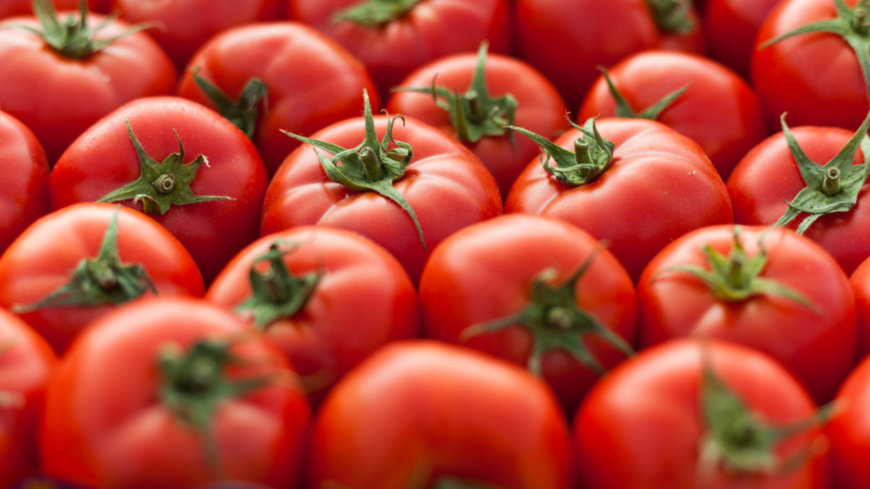 Durva, milyen drága lett a paradicsom sok piacon: itt már ennyiért árulják