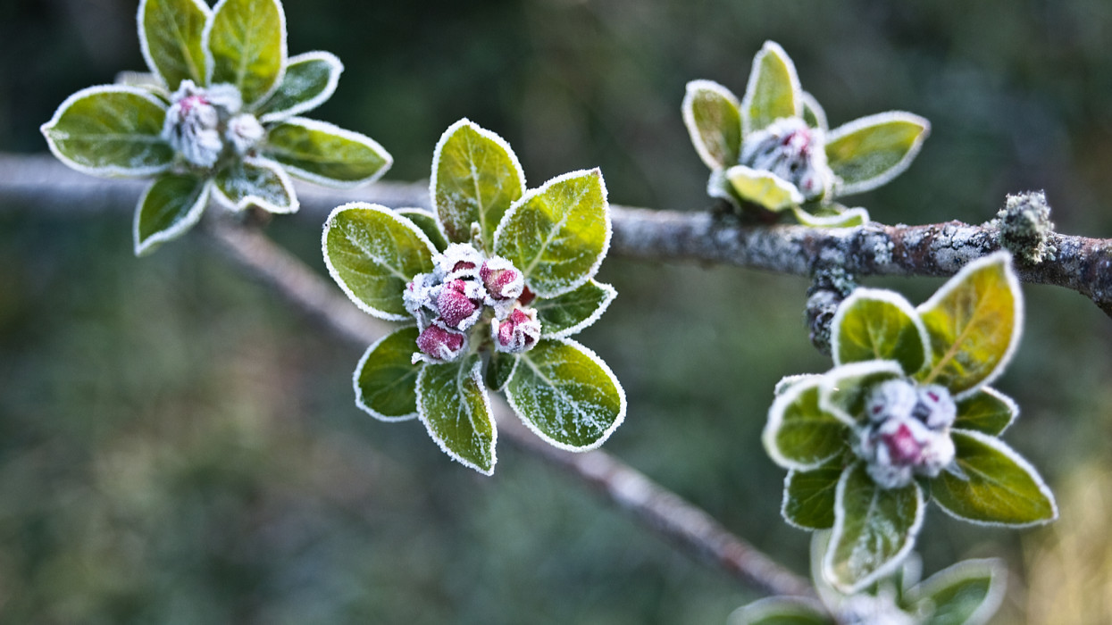 Nincs vége a télnek? Visszatér a fagy Magyarországra